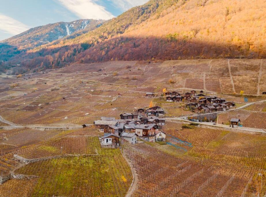 Chalet Alpine Bliss - Cozy With Panoramic Views Martigny-Combe