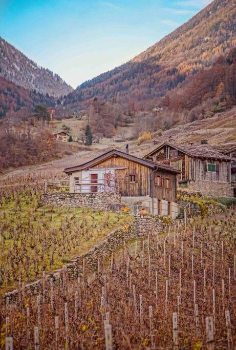 Alpine Bliss - Cozy With Panoramic Views Chalet